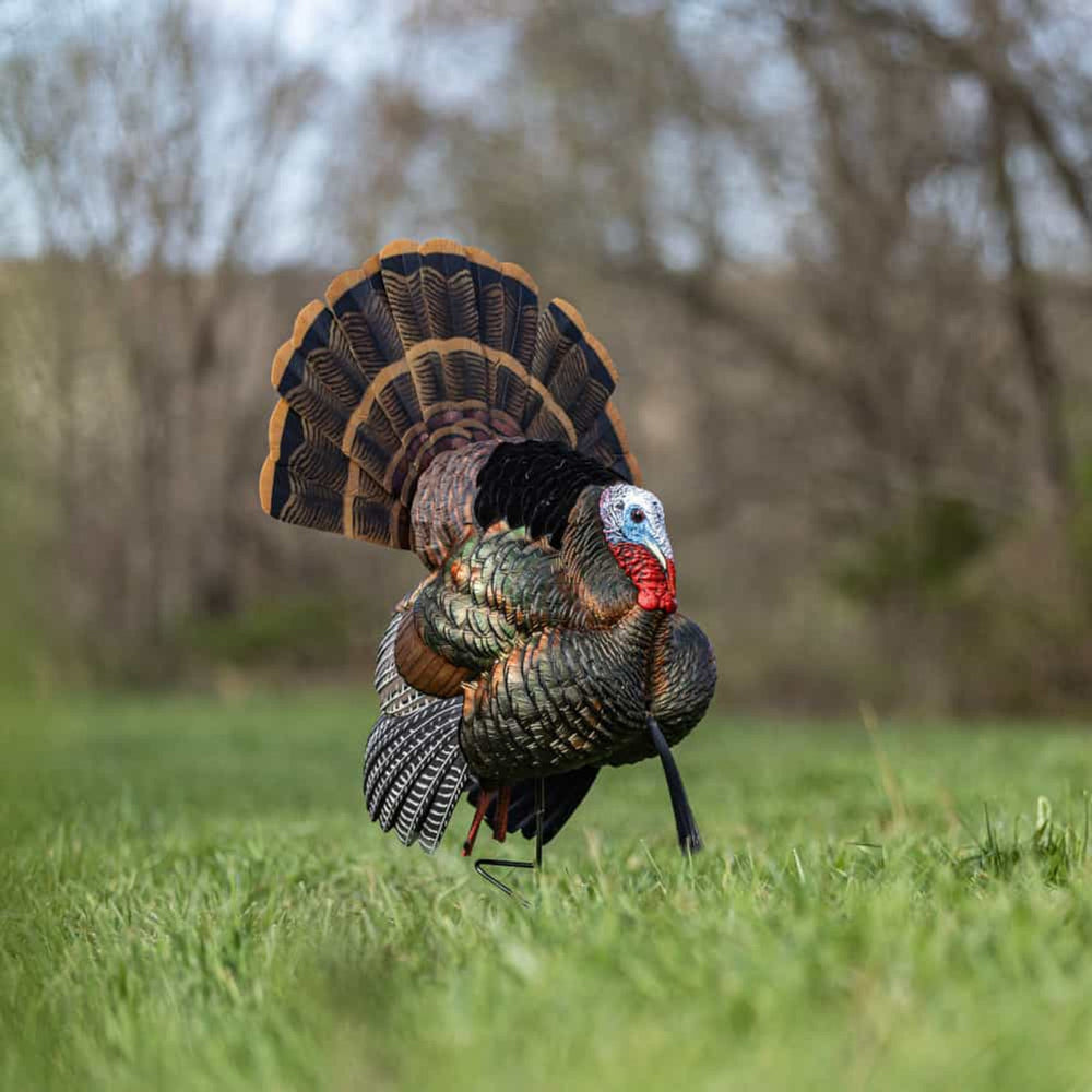 Avian X HDR Strutter Decoy