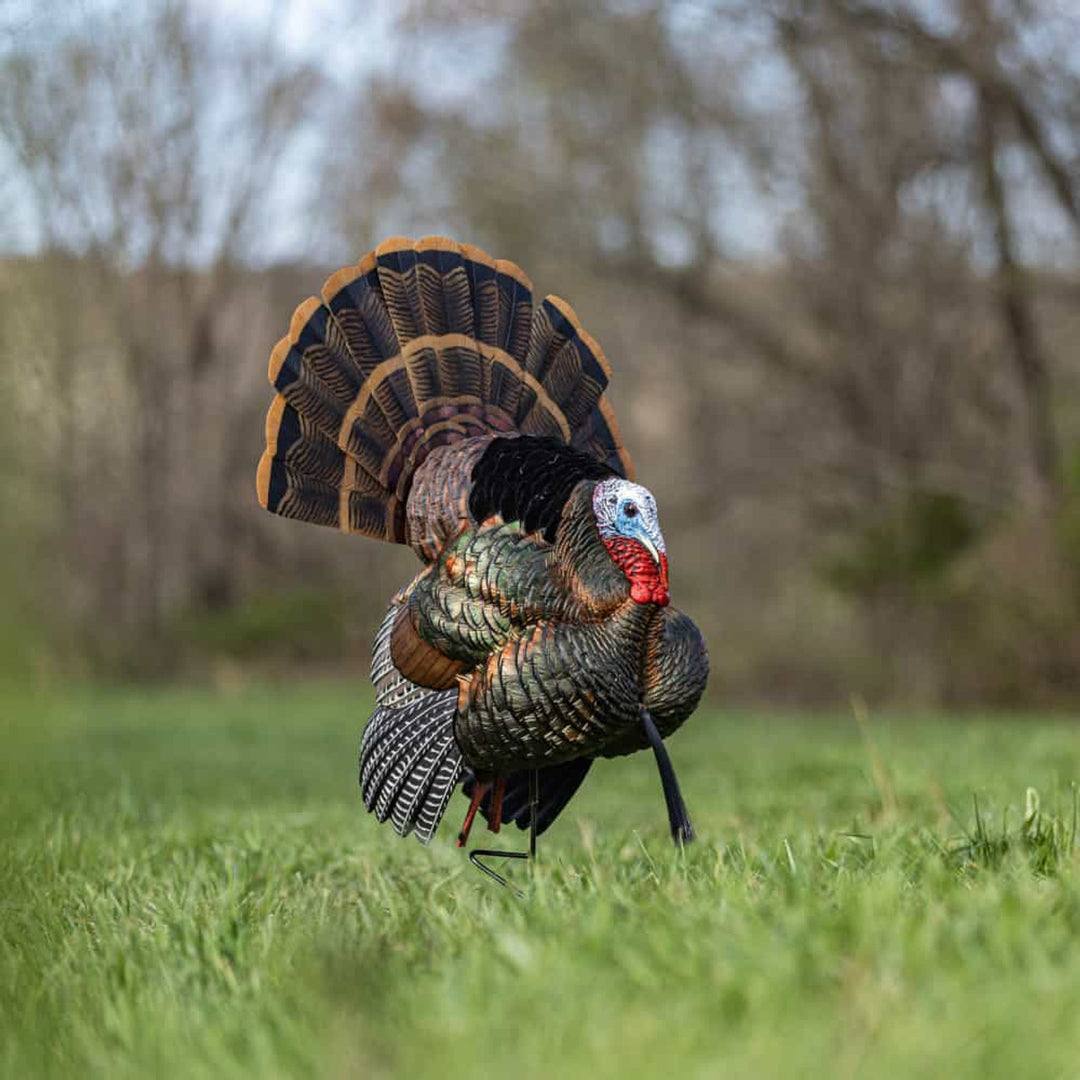 Avian X HDR Strutter Decoy
