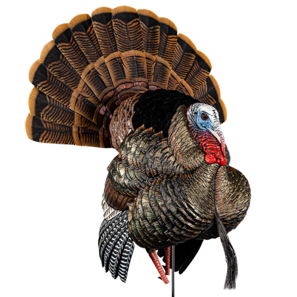 Avian X HDR Strutter Decoy