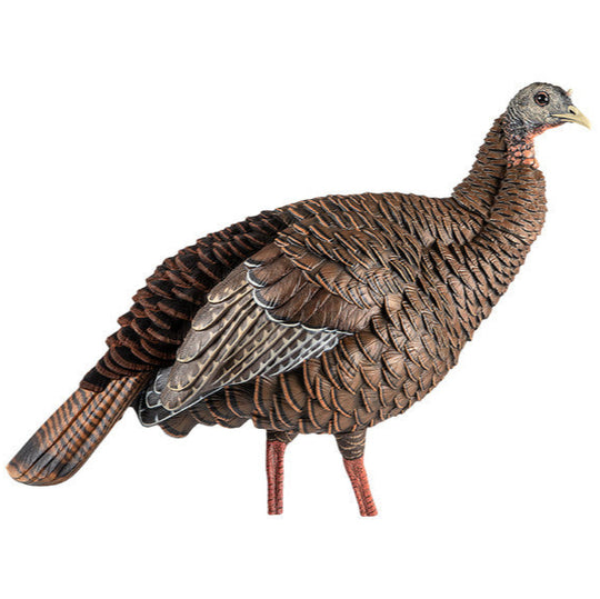 Avian X HDR Hen Decoy
